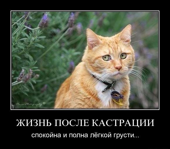1296415248_nhj4bh10240x.jpg
