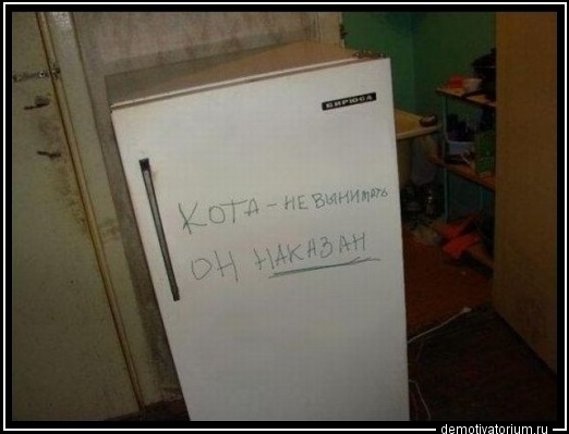 0111112213211558.jpg