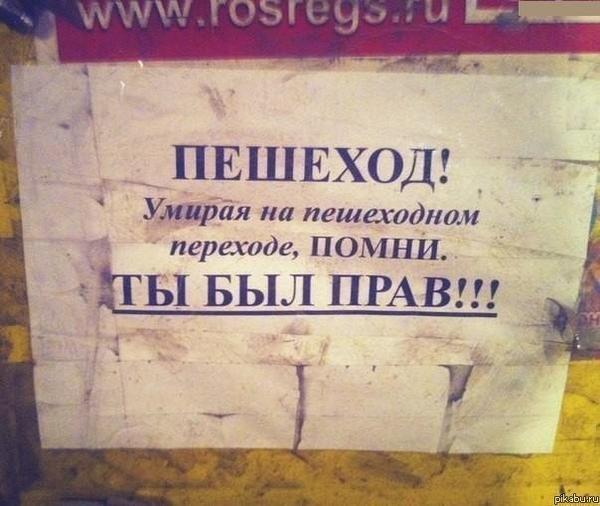 19953_original.jpg